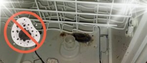 Interior view of a dishwasher with a mold depicting How to Remove and Prevent Mold in Your Dishwasher