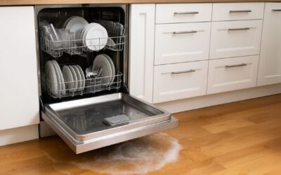 8 Easy Steps to Fix Your Non-Draining Dishwasher Problem