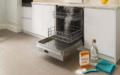 How to Remove and Prevent Mold in Your Dishwasher