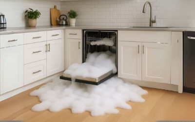Accidentally Put Dish Soap in the Dishwasher? Solutions and Tips