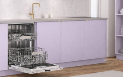 Get Rid of Ants in Your Dishwasher: 6 Powerful Tips You Need to Know