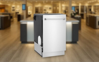 ZLINE DWMT-304-24 Dishwasher Review and Detailed Feature Breakdown