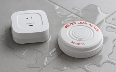 6 Best Water Leak Detectors for Home Protection in 2025